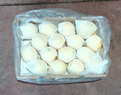 Foto Pere Nashi Calibro 16 Origine Cina Marchio Crown Pear 3